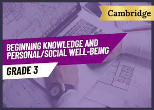 Social Well-Being CAMBRIDGE