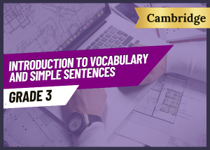 Grade 3 Introduction To Vocabulary