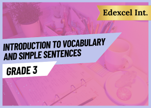 Grade 3 Introduction To Vocabulary
